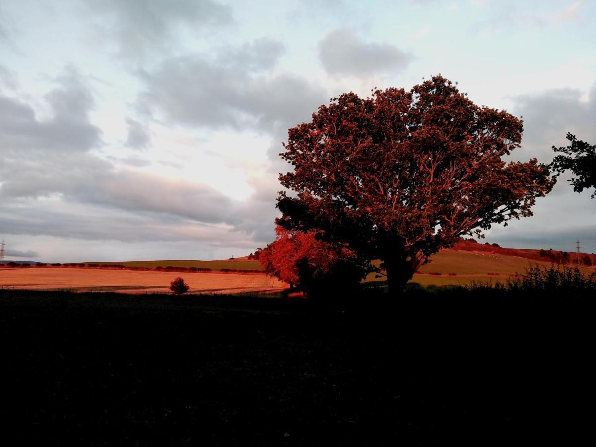 19 Park Views Just Outside Penrith For Holidays And Short Breaks Please No Commercial Vans Thankyou High Hesket Екстериор снимка