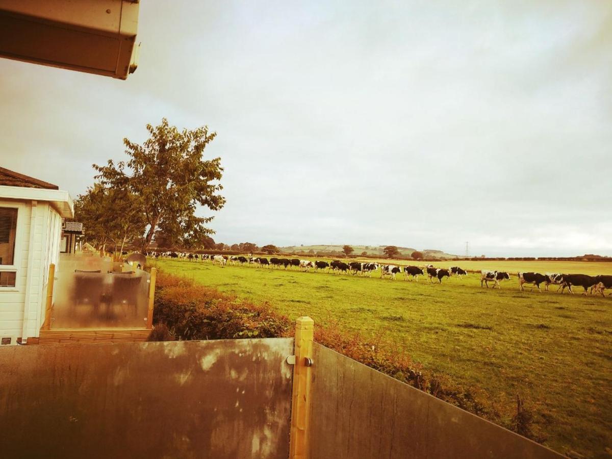 19 Park Views Just Outside Penrith For Holidays And Short Breaks Please No Commercial Vans Thankyou High Hesket Екстериор снимка